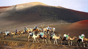 Camel Ride Experience in the Arteara Valley