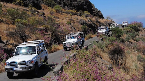 Aventura de safari en jeep