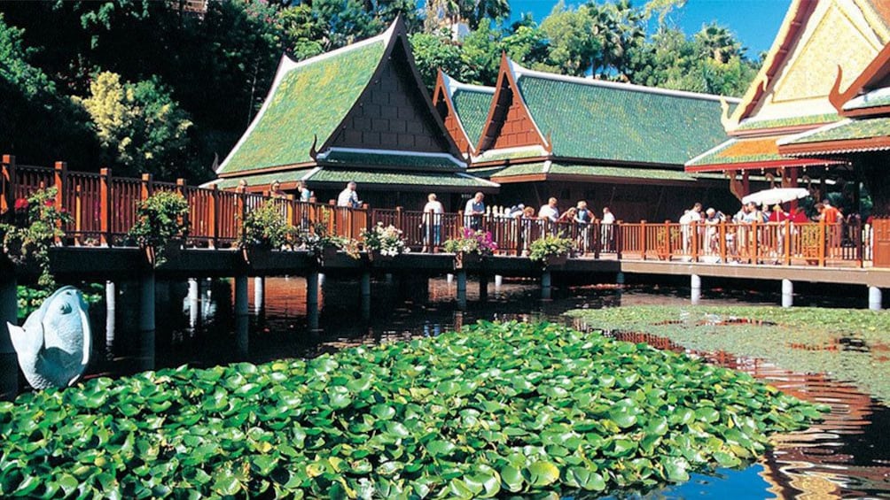 Indlæs billede 2 af 5. Stilted buildings over a pond covered in water lilies at Loro Park in Gran Canaria
