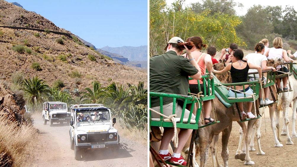 Combo image of 4x4 Safari & Camel Ride in Gran Canaria