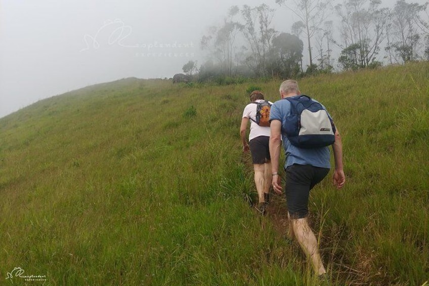 Trekking in Munnar