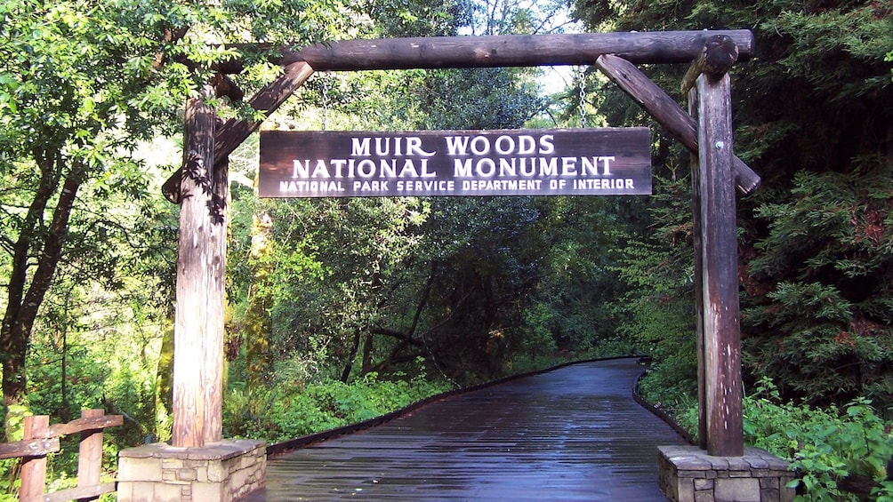 entering the Muir Woods through a wooden path in San Francisco