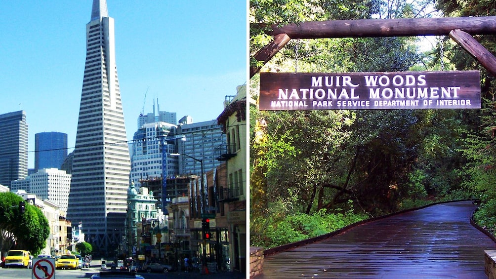 Combo image of City sightseeing and Muir Woods National Monument entrance