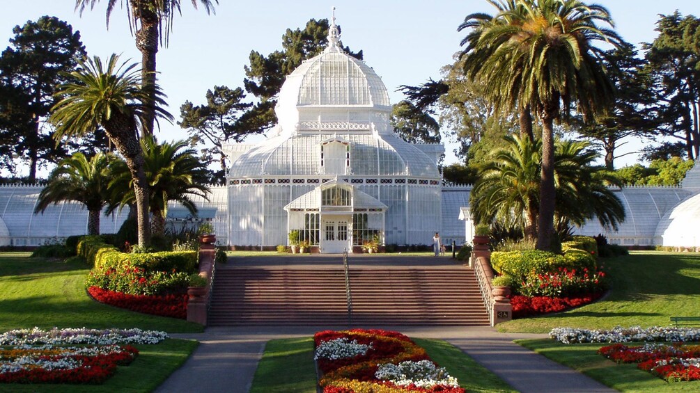 visiting the botanical garden in San Francisco