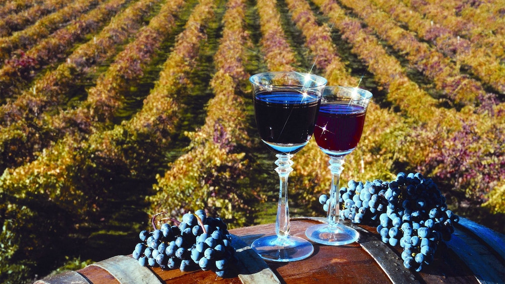 sparkling glasses of wine out at the vineyard in San Francisco