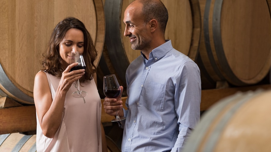 Wine Experience Day Trip to Napa & Sonoma