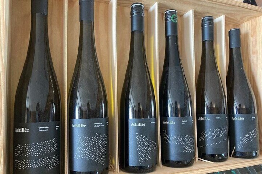 Discovery and Tasting of Biodynamic Wine in Alsace