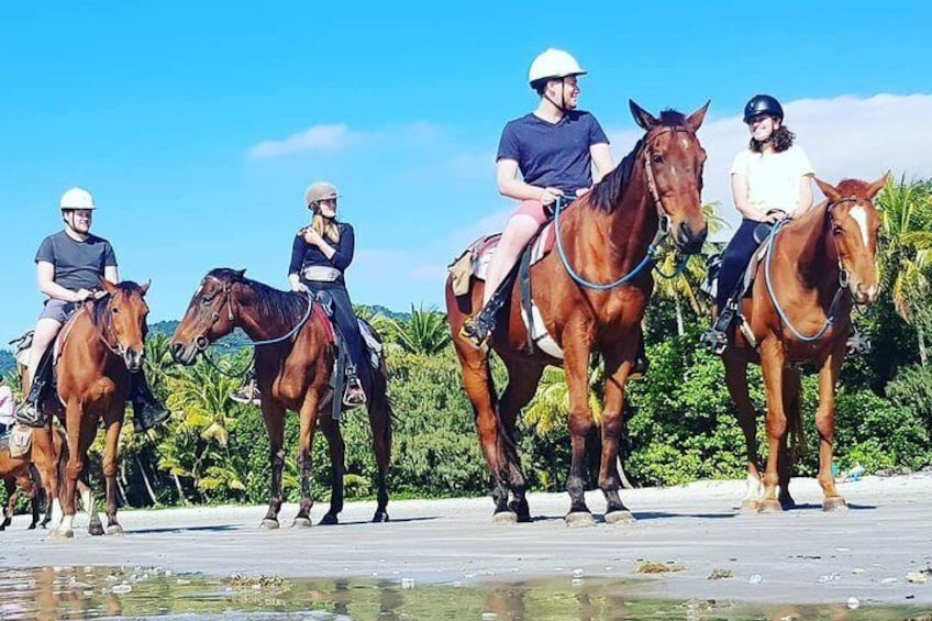 Mid-Morning Beach Horse Ride in Cape Tribulation with Pick Up