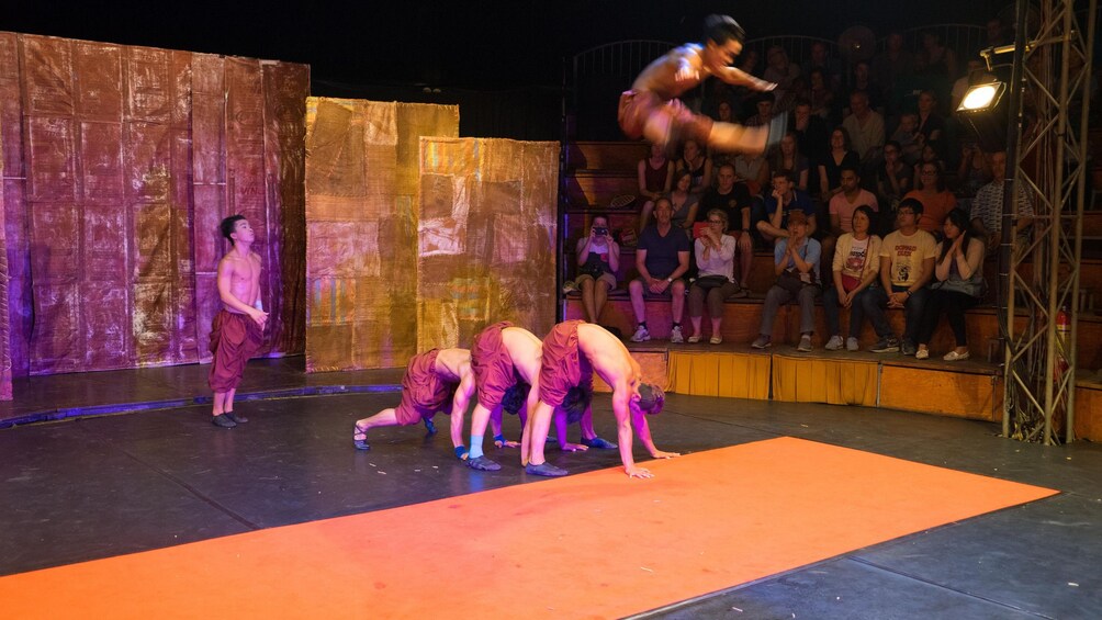 Cambodian Circus Show with Private Transfer