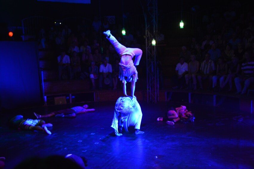 Cambodian Circus Show with Private Transfer