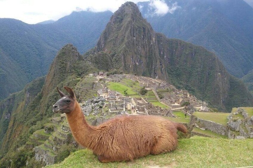 Machu Picchu Full Day