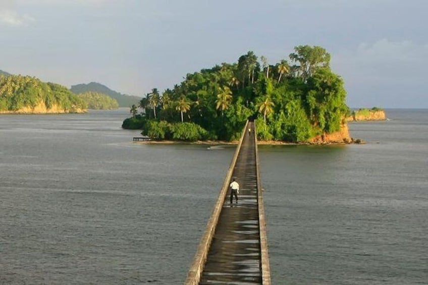 Samana Bay Eco Trip