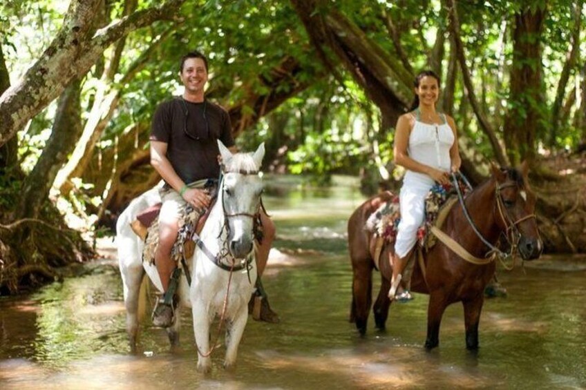 Samana Bay Eco Trip