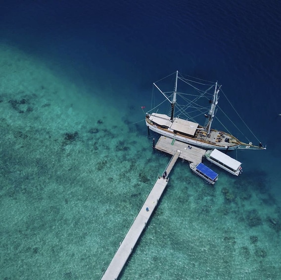 Activity Tivua Day and Sunset Dinner Cruise Combo