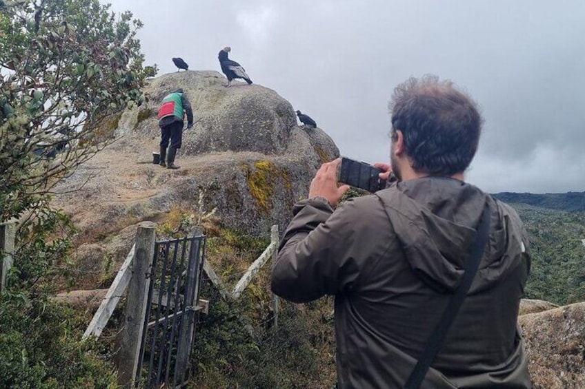 Tour to Puracé National Natural Park