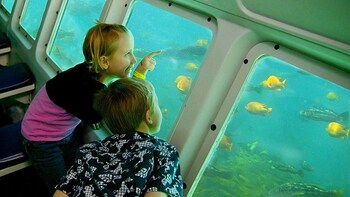 Catalina Island with Underwater Expedition & RT Transfers