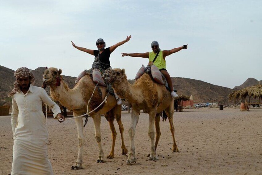 Hurghada Desert Safari on Quad Bikes With Camel for 3 Hours 