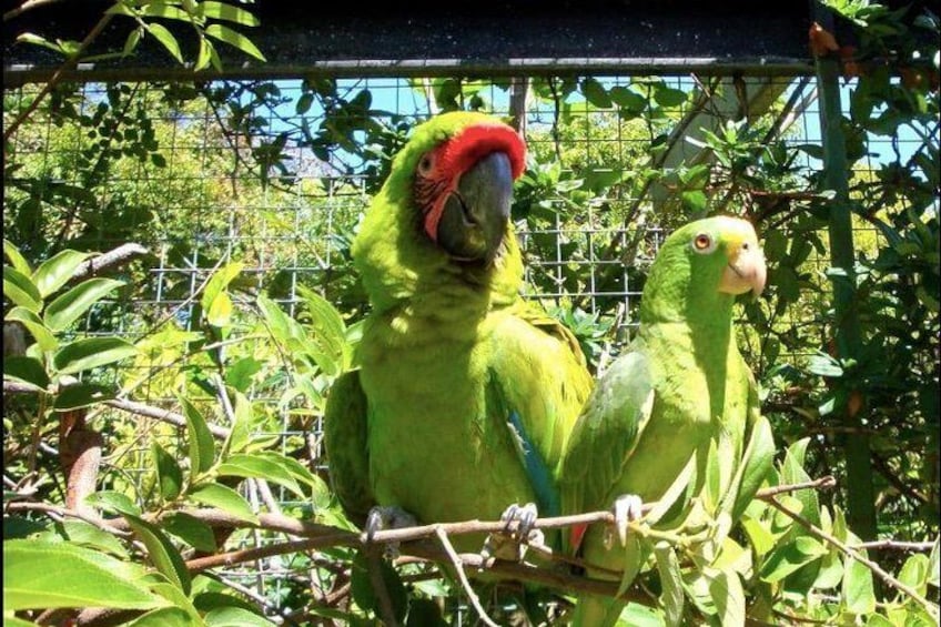 Jardin Encantado BOTANICAL PARK TOUR