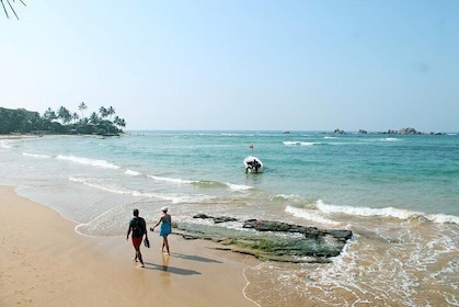 Galle Day Trip