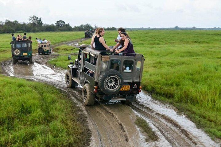 minneriya national park jeep safari price