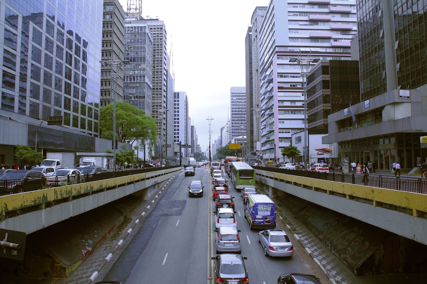 Sao Paulo Highlights City Tour - MASP Ibirapuera and More