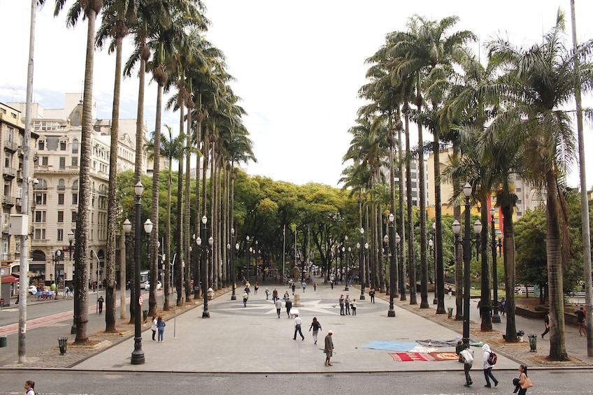 Private Customizable City Tour