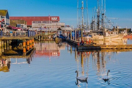 San Francisco+ 17 Miles+ Yosemite National Park 3-day Tour