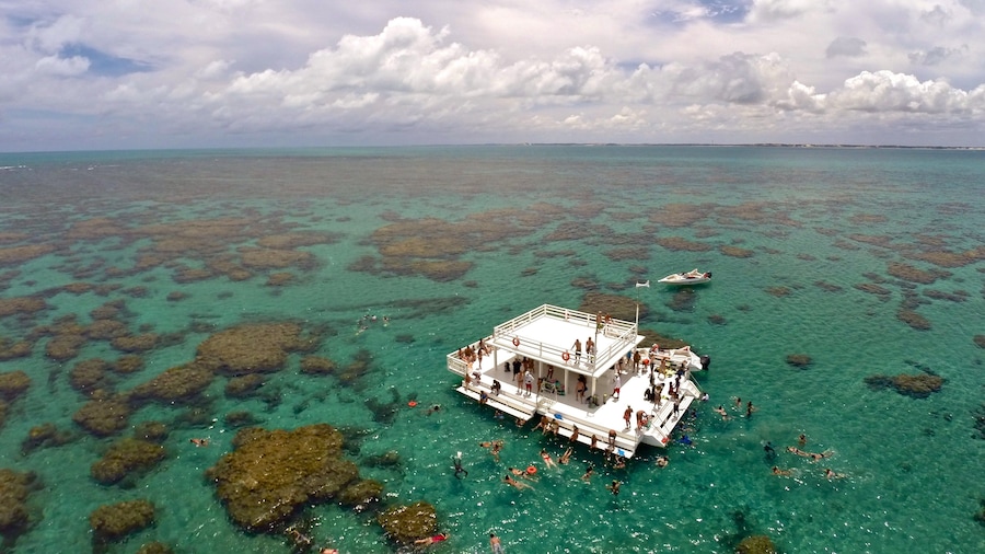Full-Day Excursion to Maracajaú & Parrachos Reef