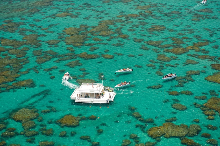 Full-Day Excursion to Maracajaú & Parrachos Reef