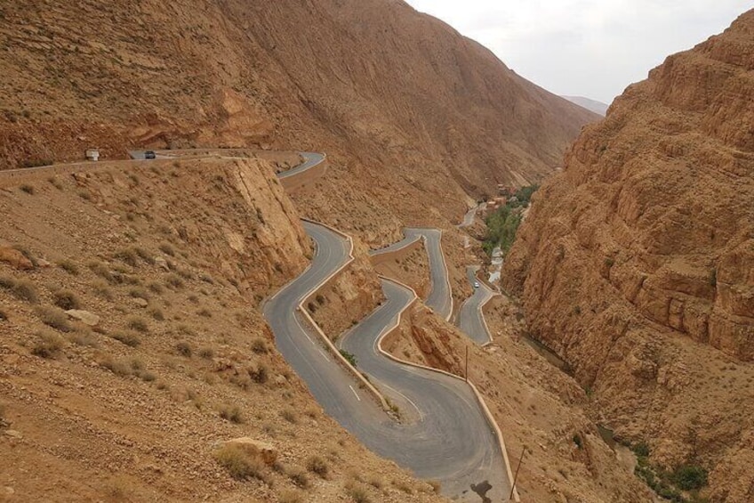 Morocco Desert - Kasbahs - Gorges - Camel Trek - One Night Camping Trip