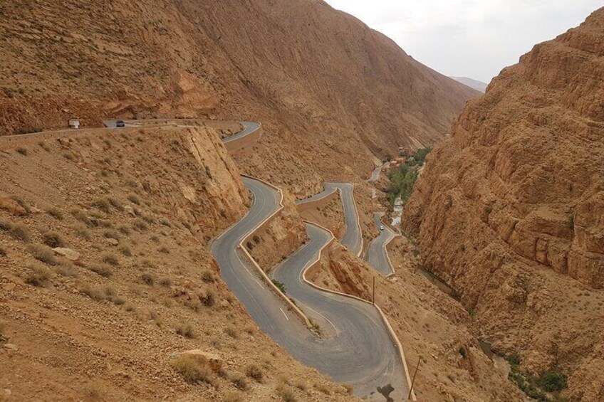 Morocco Desert - Kasbahs - Gorges - Camel Trek - One Night Camping Trip