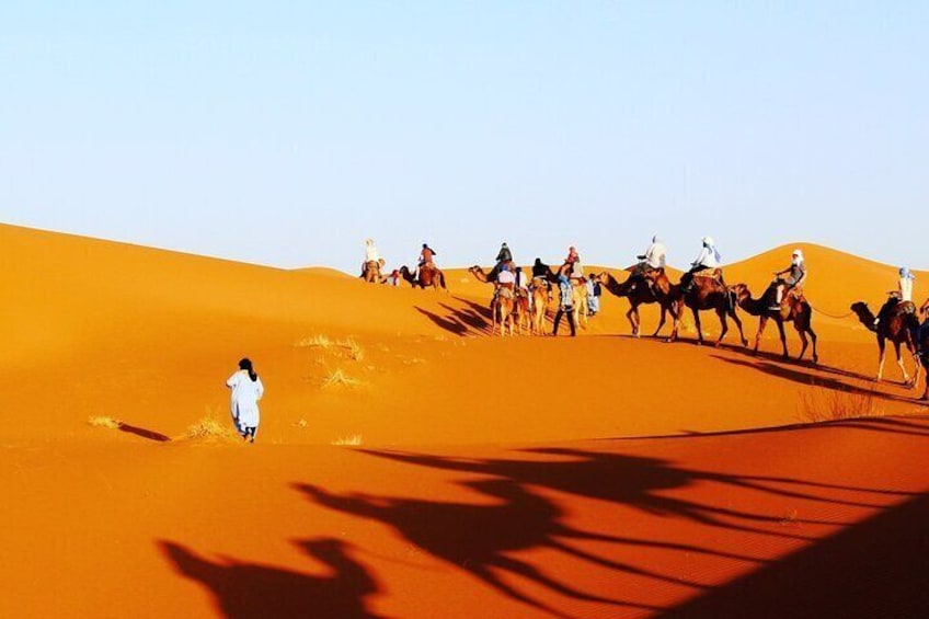 Morocco Desert - Kasbahs - Gorges - Camel Trek - One Night Camping Trip