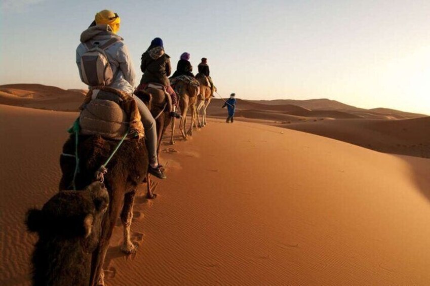 Morocco Desert - Kasbahs - Gorges - Camel Trek - One Night Camping Trip