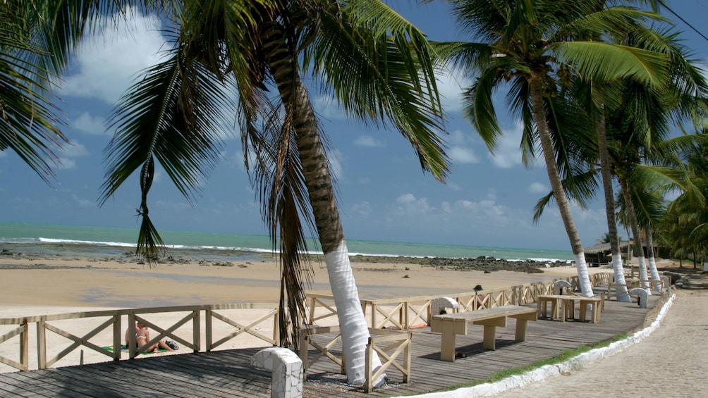 wooden boardwalk along the beach in Natal