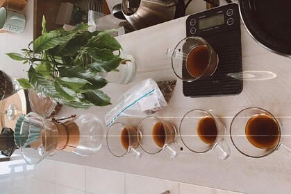 Barismo for beginners