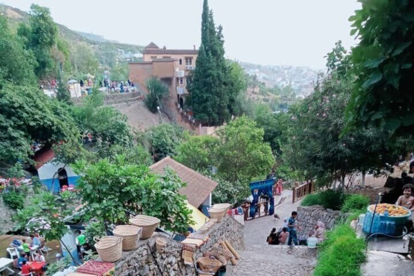 Full-Day Trip to the Blue City Chefchaouen from Rabat