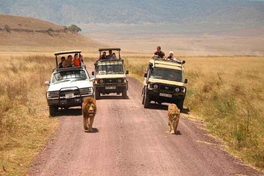 2 Days Lodge Safari; Lake Manyara & Ngorongoro Crater 