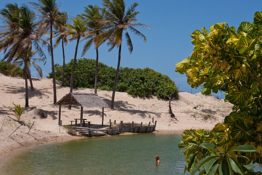 Exotic Canoa Quebrada Beach