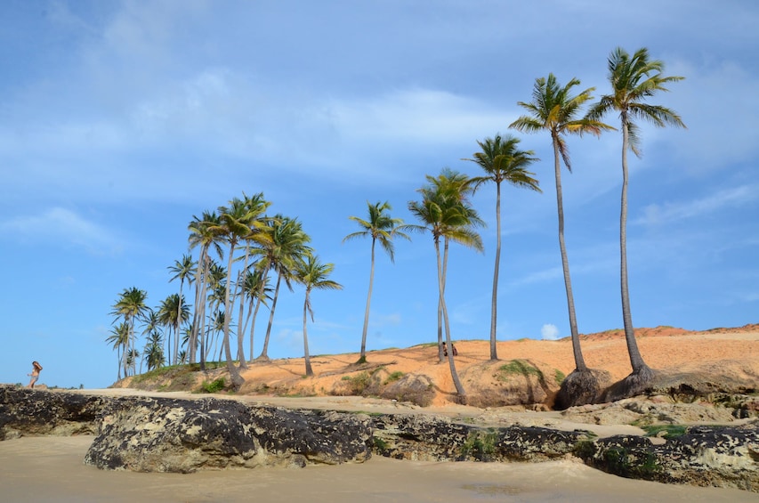 Lagoinha, the Postcard Beach