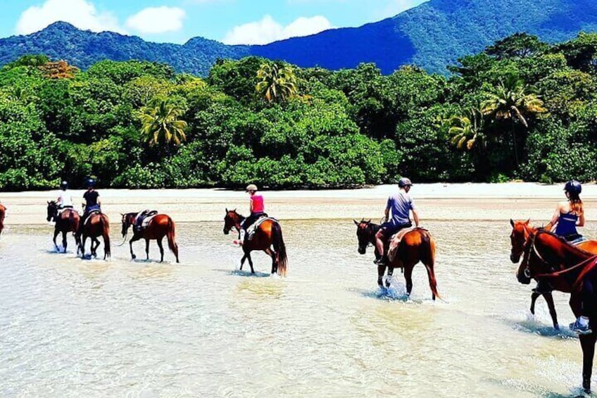 Afternoon Beach Horse Ride in Cape Tribulation