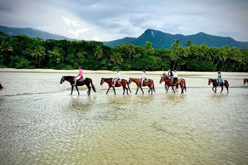 Afternoon Beach Horse Ride in Cape Tribulation