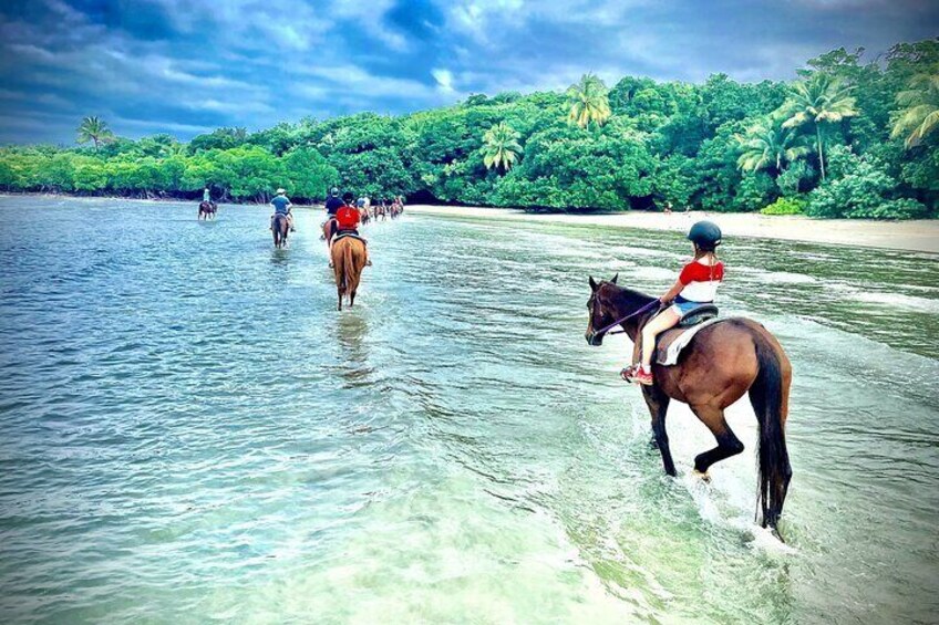 Afternoon Beach Horse Ride in Cape Tribulation