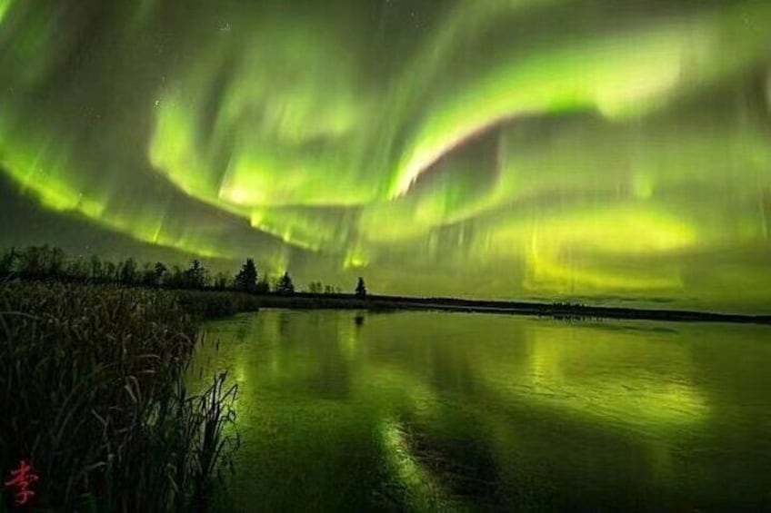 The Greatest Valuable Aurora Manor & Hunting Tour --Exclusive Tour Operator