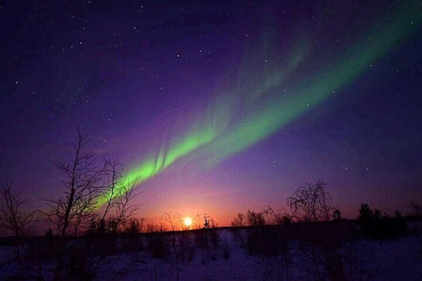 The Greatest Valuable Aurora Manor & Hunting Tour --Exclusive Tour Operator