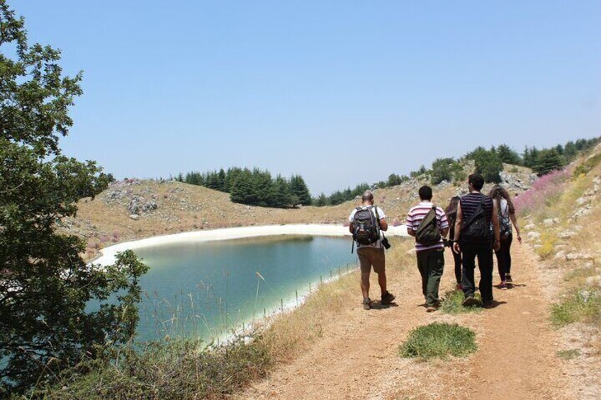 Lebanon sightseeing guided tour to Beiteddine, Deir el Qamar & Cedars Reserve