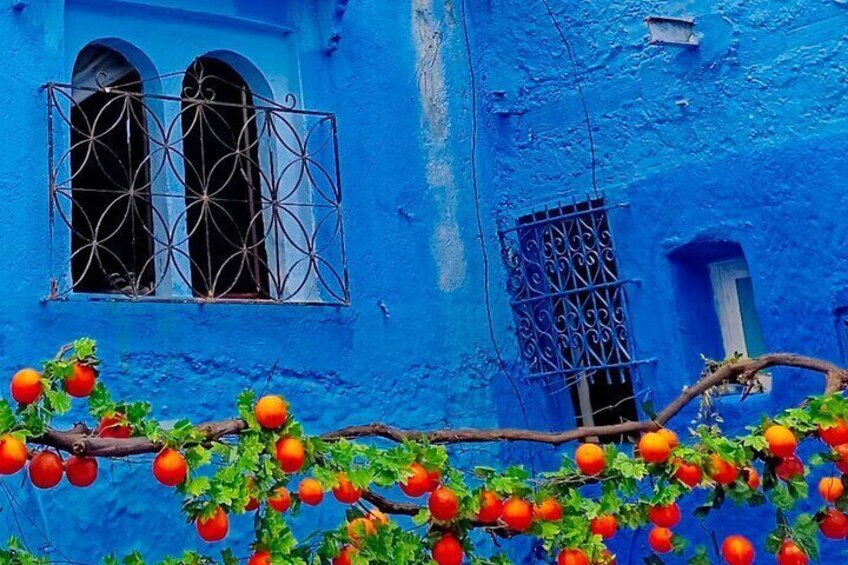 Full Day Tour The Blue City , CHEFCHAOUEN on small-group