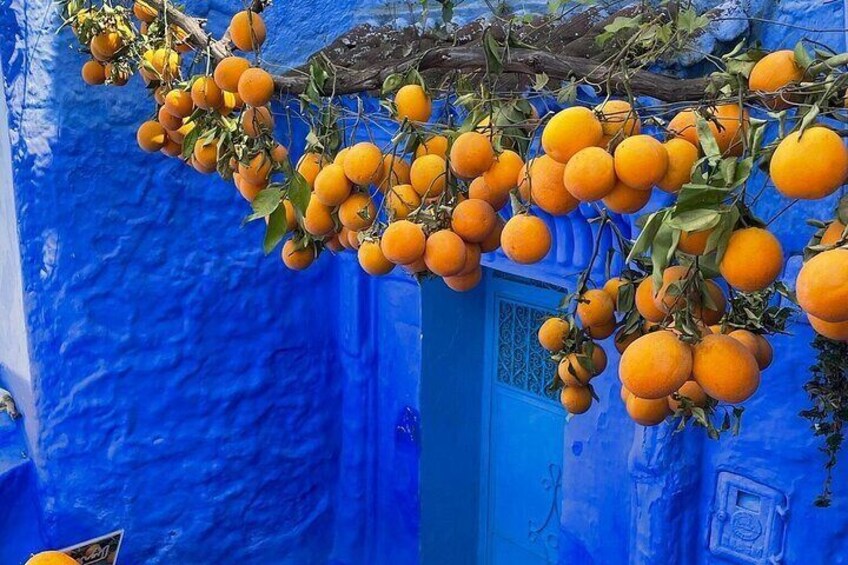 Full Day Tour The Blue City , CHEFCHAOUEN on small-group