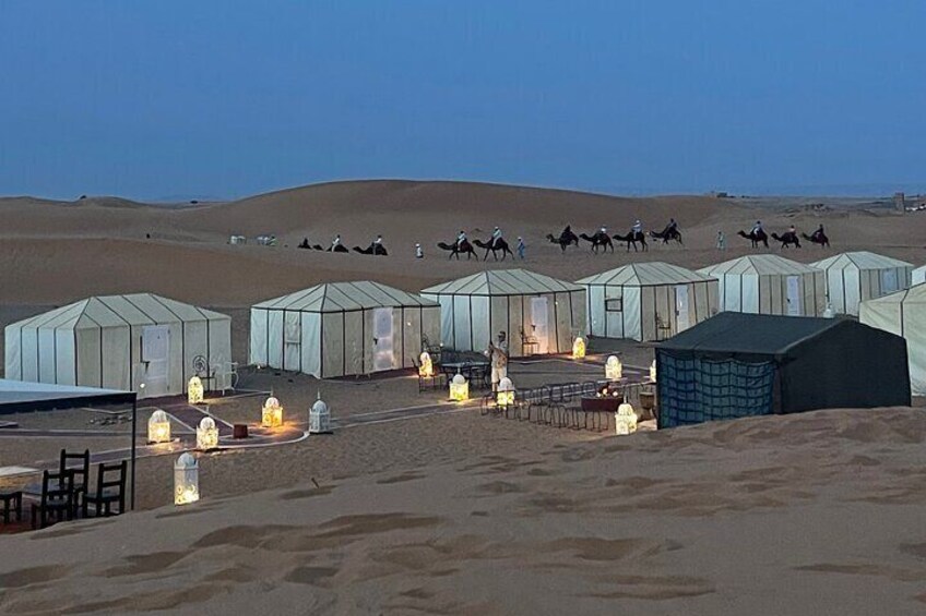 Our Luxurious desert Camp in Sahara desert 