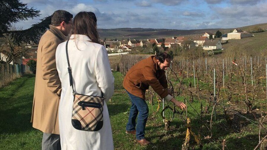 Explanation of our culture during the walk in the vineyard
