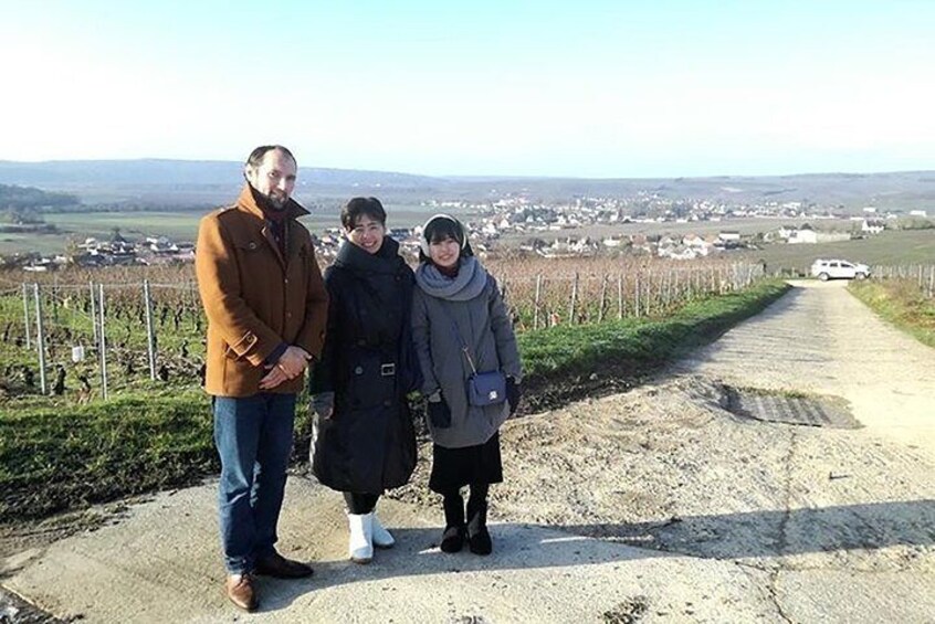 Stroll in the vineyard
